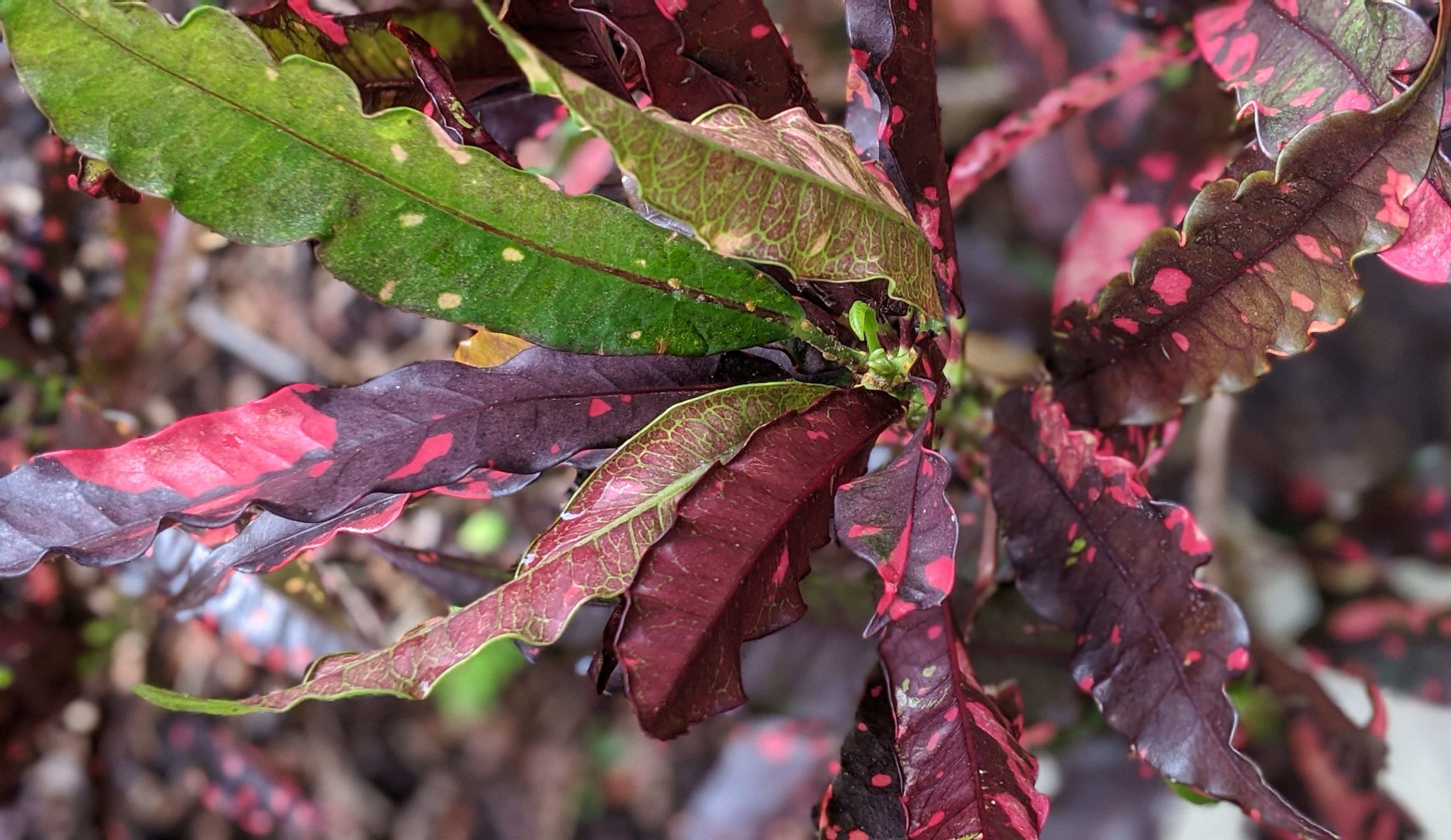 00100lrportrait_00100_burst20200718085913768_cover