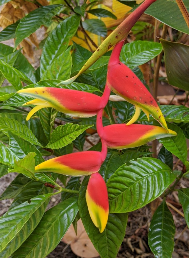 img_20200704_094057-1