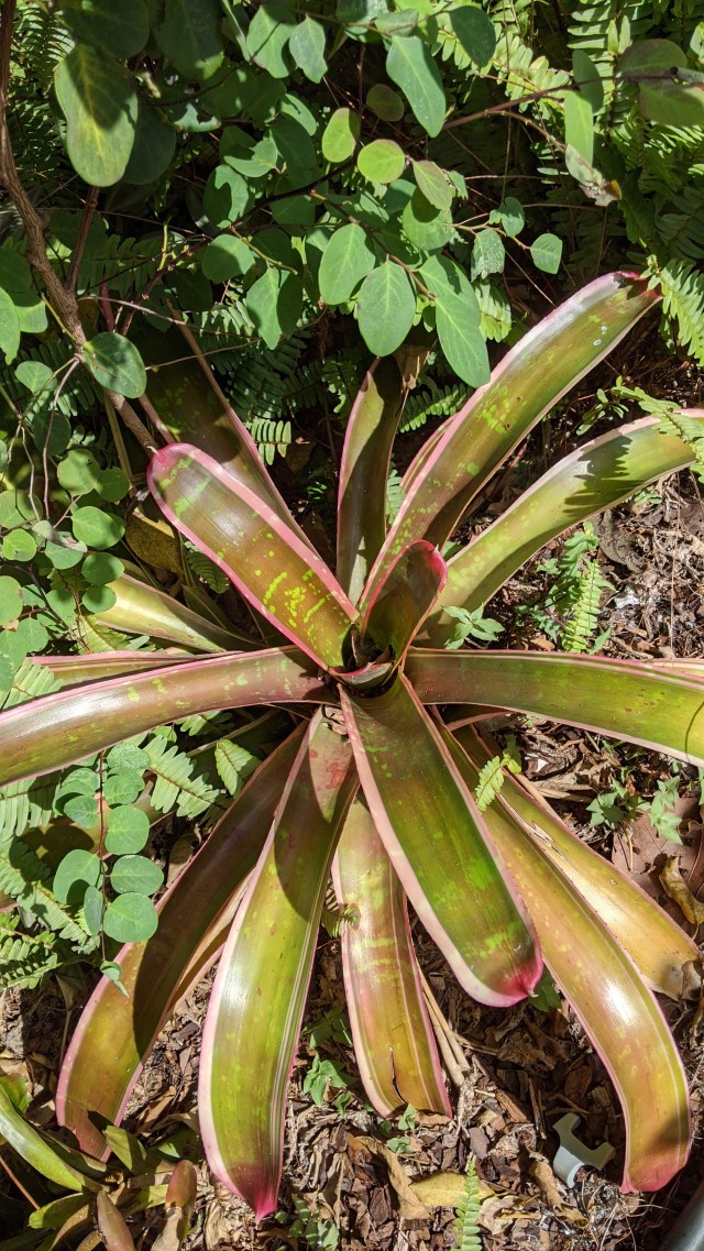 mvimg_20200704_094034