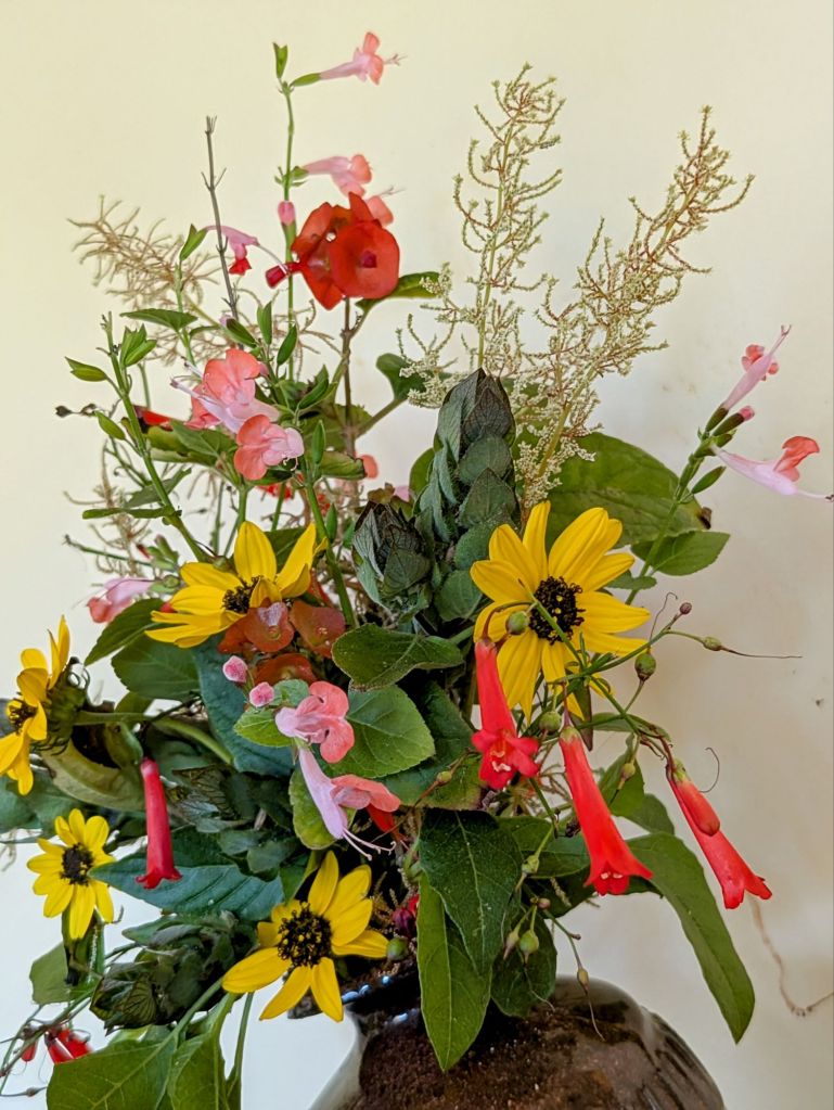 wp-17367158124437893666225600993107