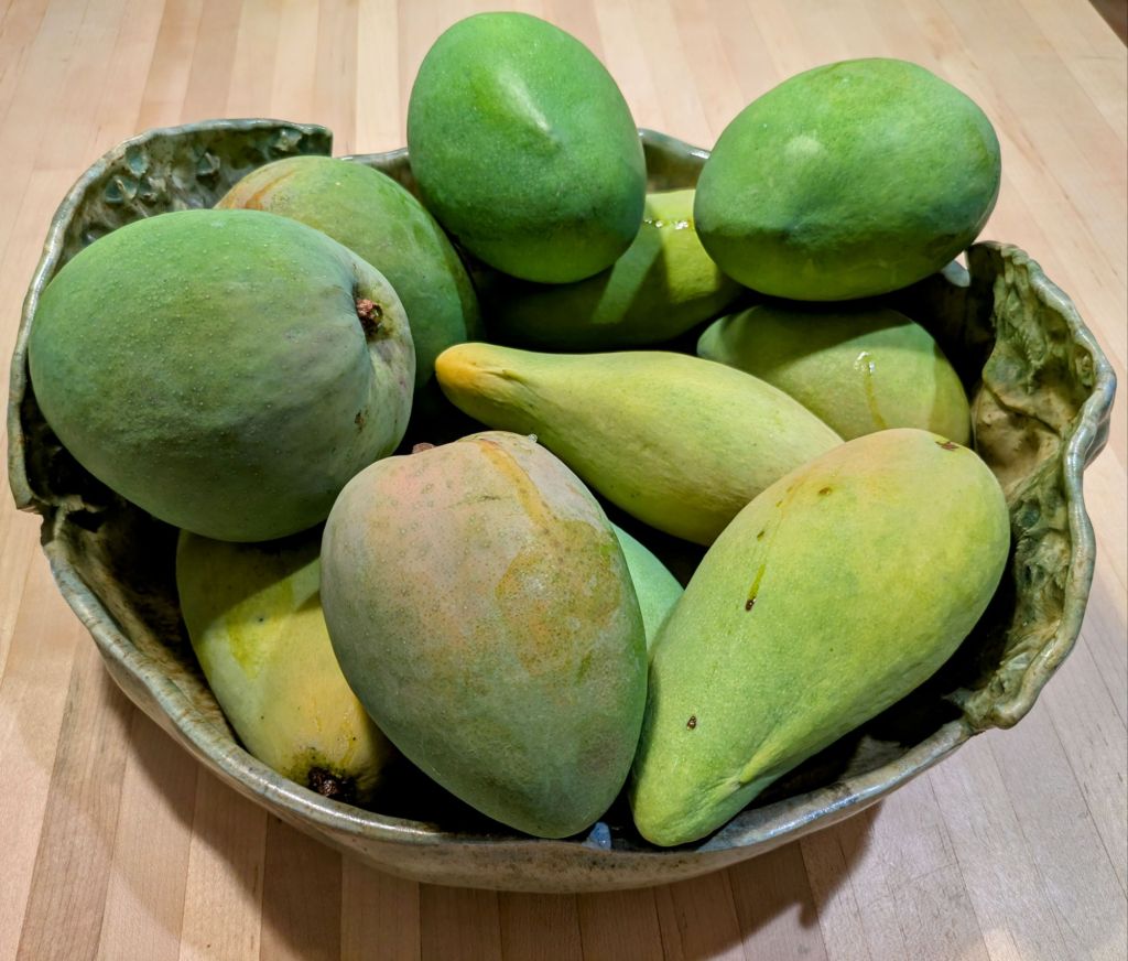 wp-17474928611862570663509007310667