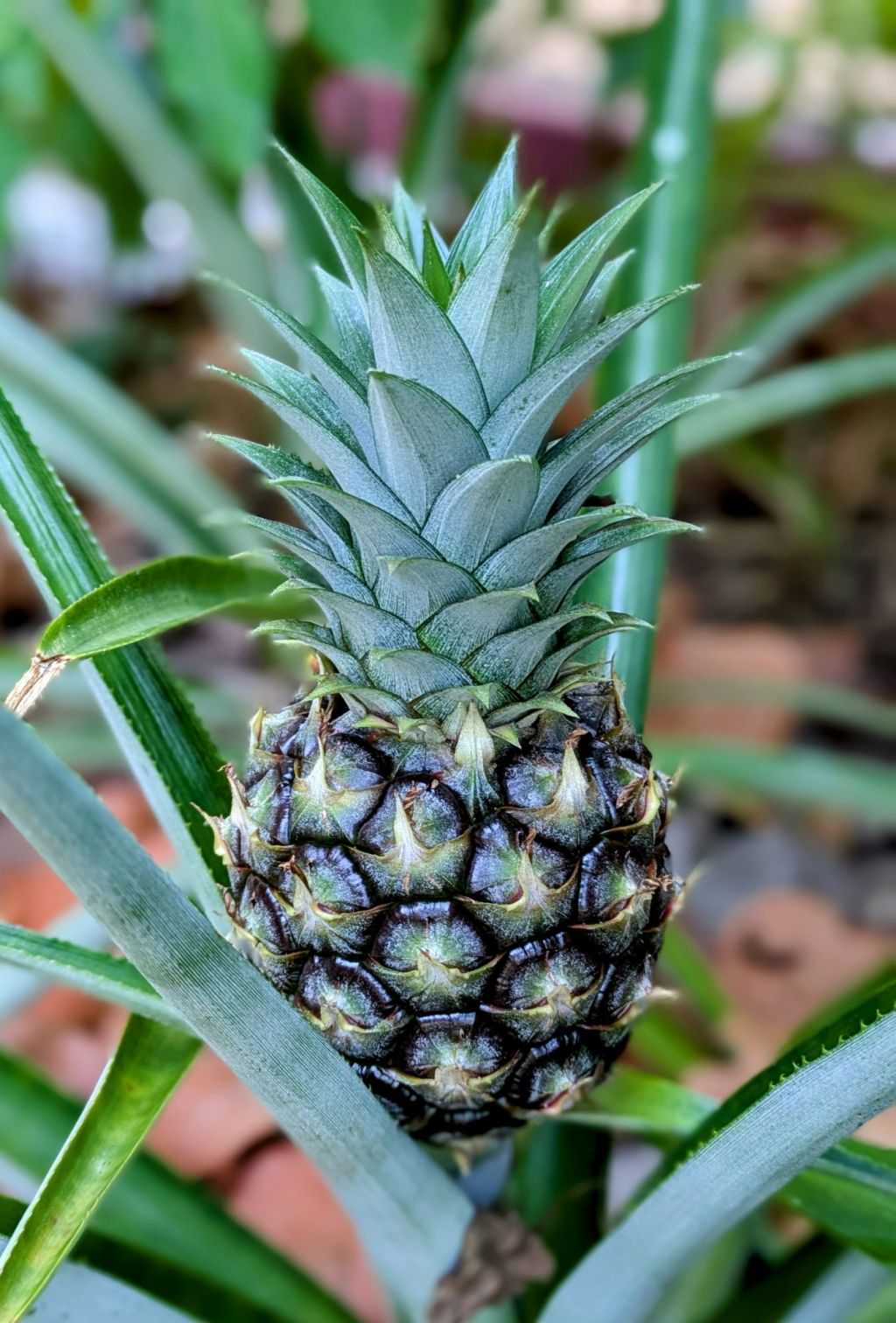 wp-17474936275104467969759011737347