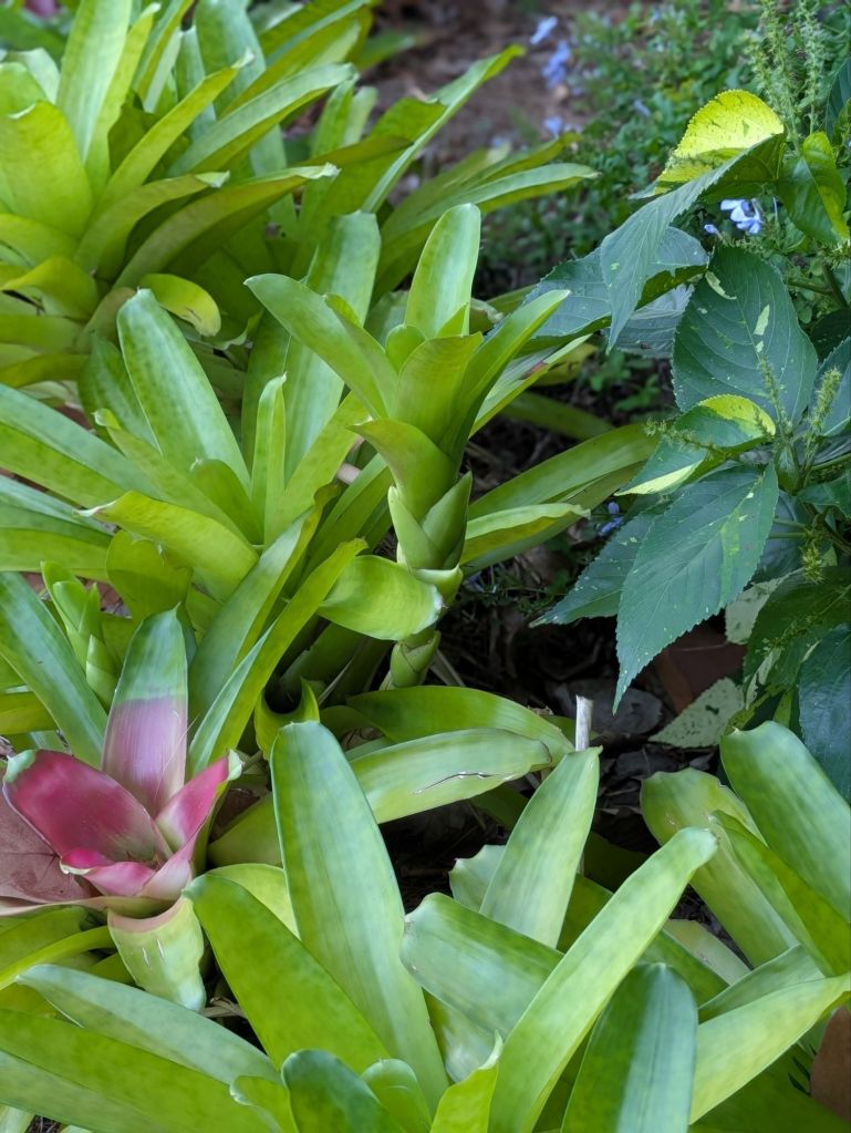 wp-17474937136648354421752208934076