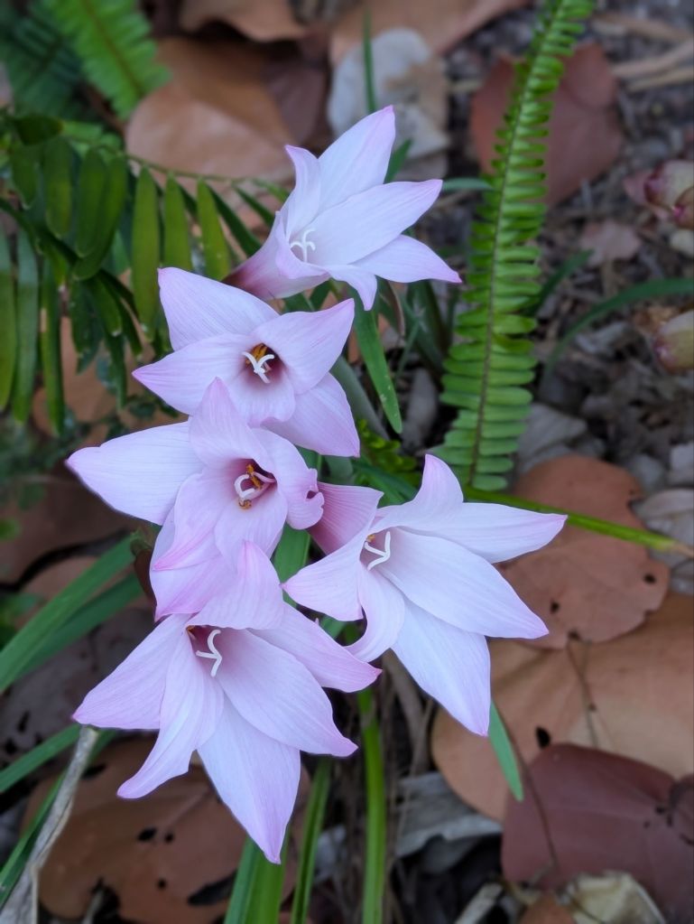 wp-17474938224164023931462962405141