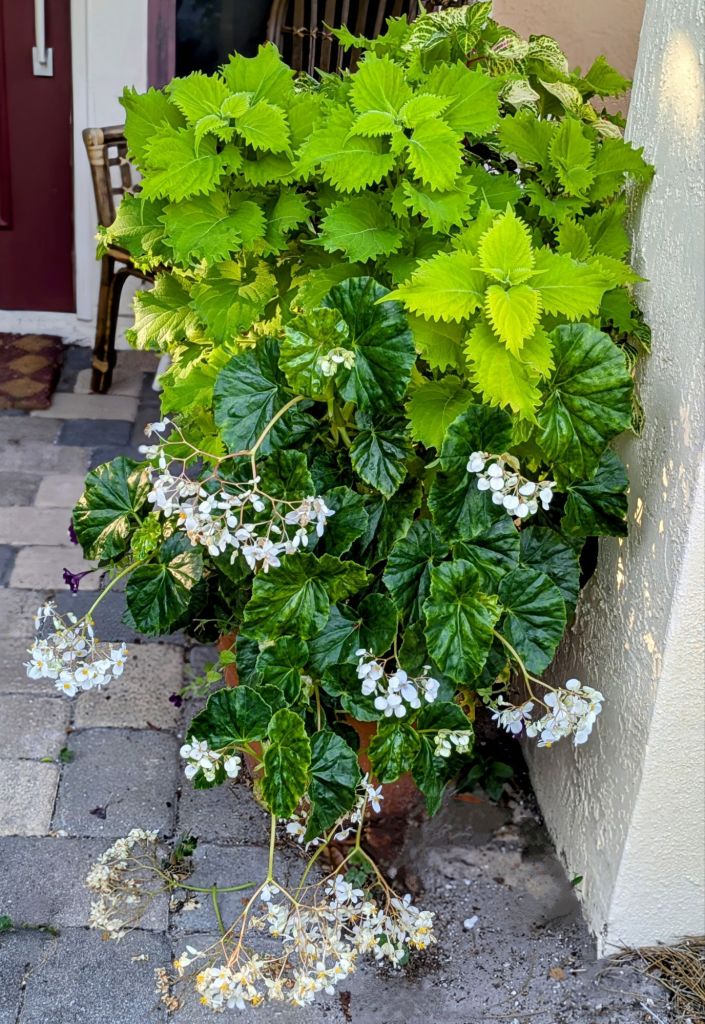 wp-17474940252381348963511223577792