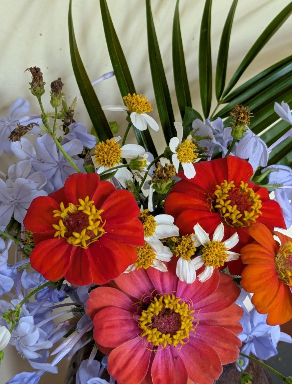 wp-1747592219711553015474356140800