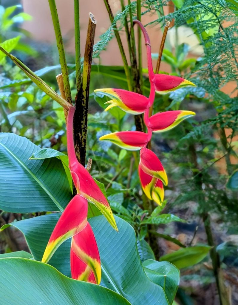 wp-17481066011898779270781110810902