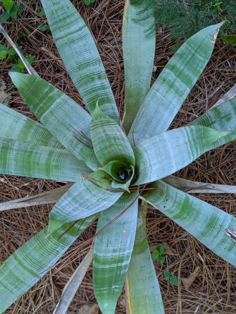 wp-17481068868913897939184912300831