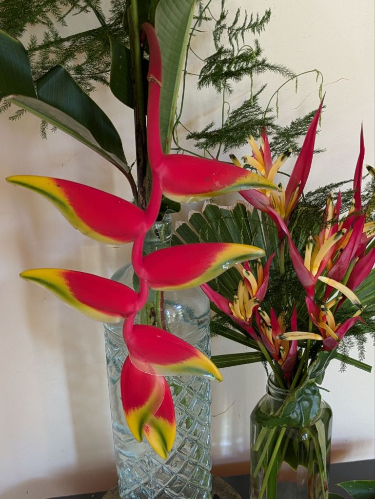 wp-17482055135938229399802032619126