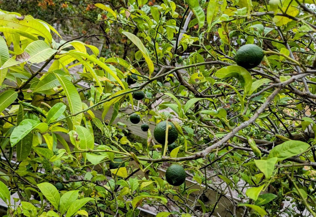 wp-17487018845564105379280917370697