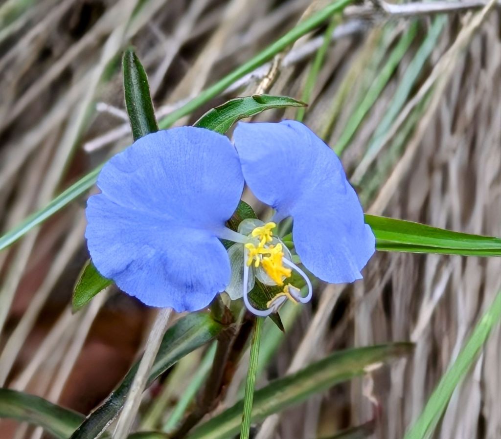 wp-17487019862523121260487507538343