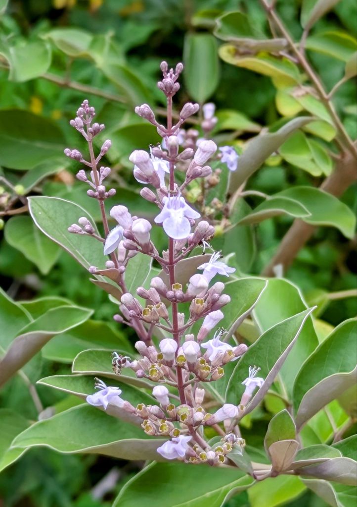 wp-17487022503621137092002928908771