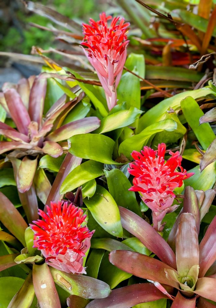 wp-17487026273174020469452156018806