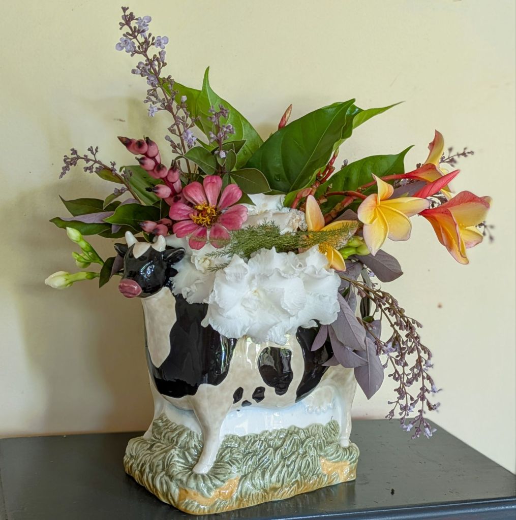 wp-17488054177154054704115901971947