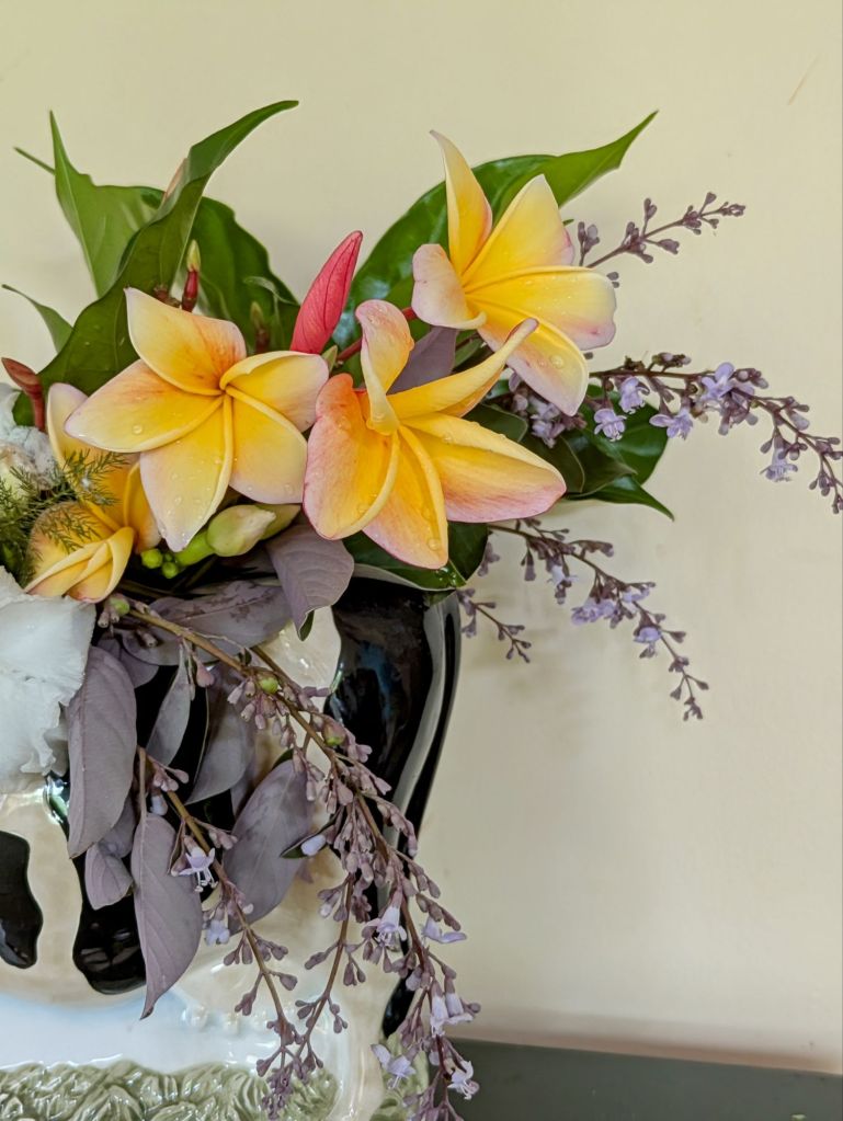 wp-1748806455014368585104882272801