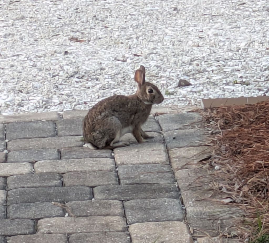 wp-17499083254194164529206954137241