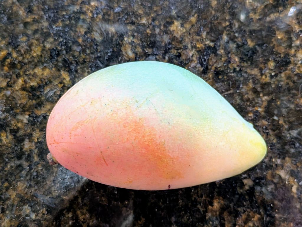 wp-17499085748166263628120448212371