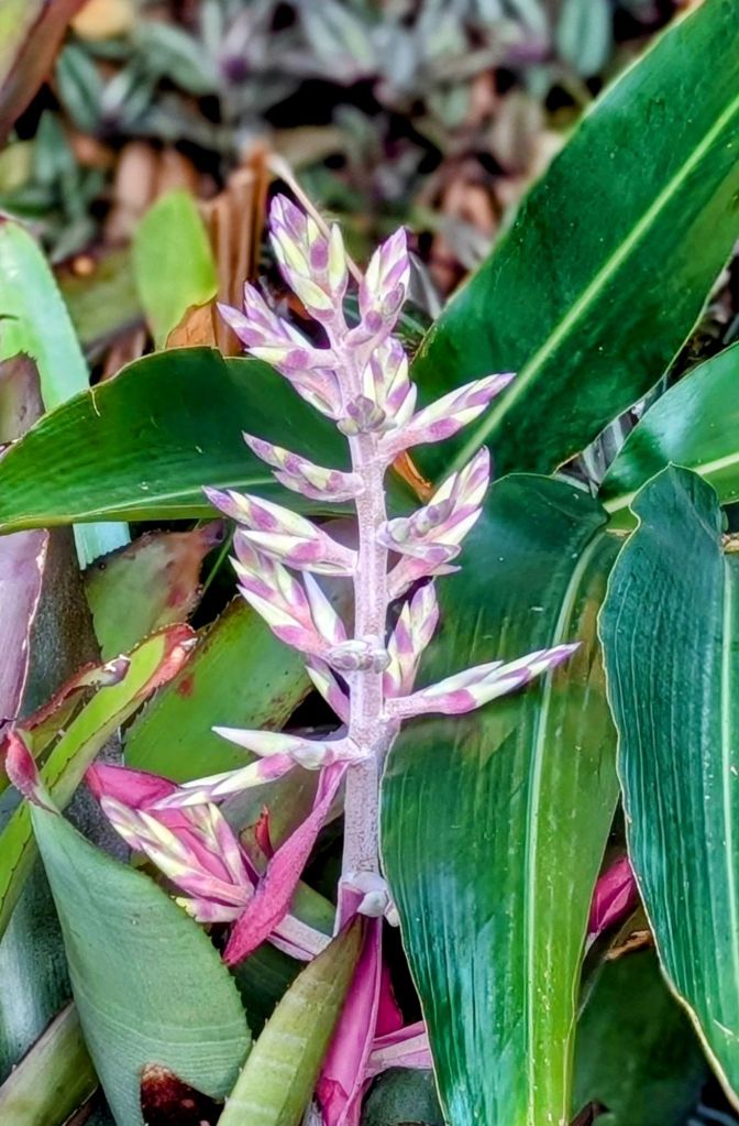 wp-17499101067635239727638181036374