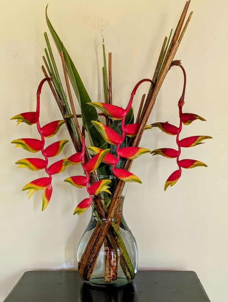 wp-17500162579881442951368990018354