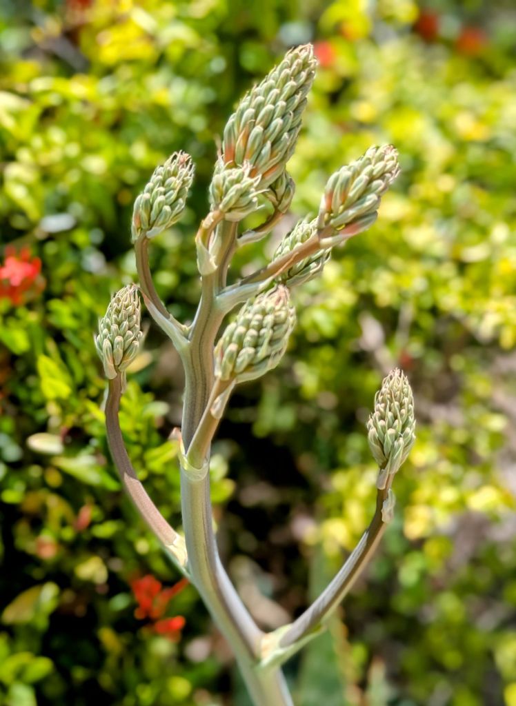 wp-17505193278398184289448876338065