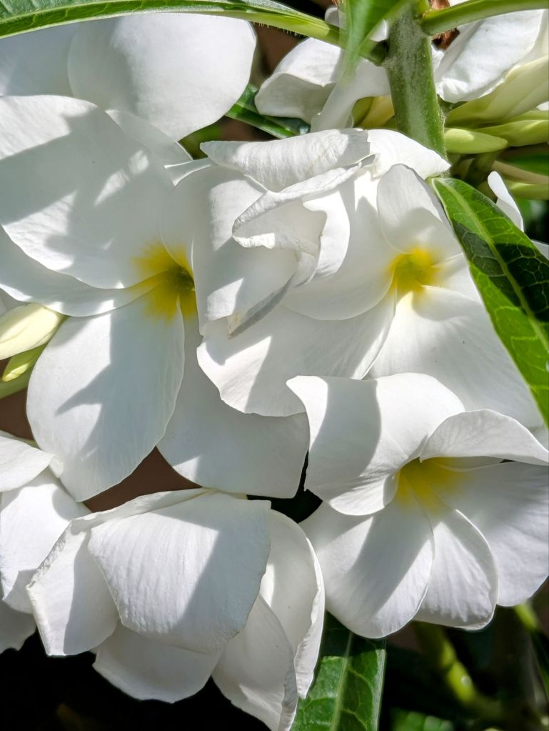 wp-17505196152294498808183142960747