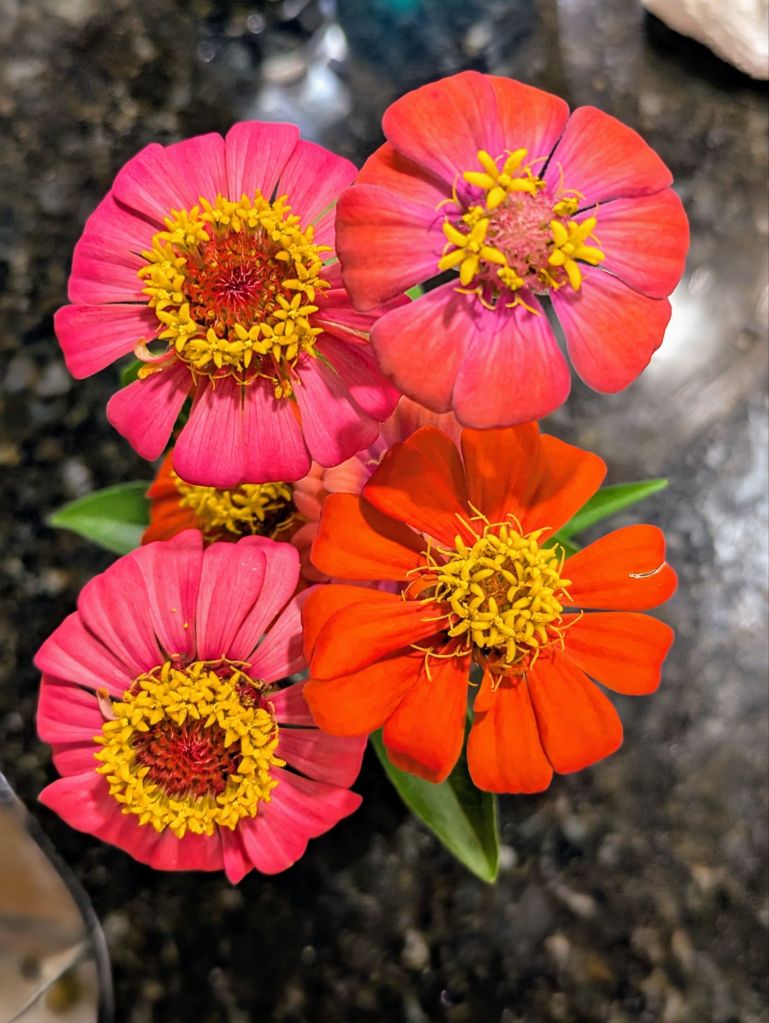 wp-17505204813564481269808753966156