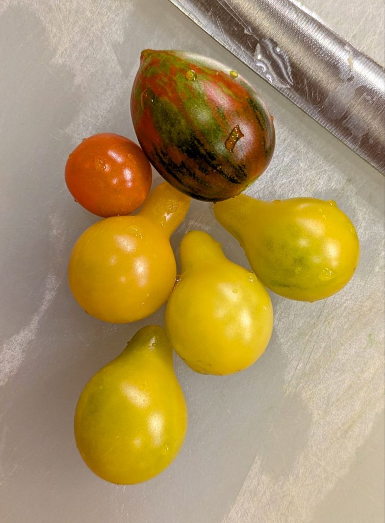 wp-17505206171091581087069411224585