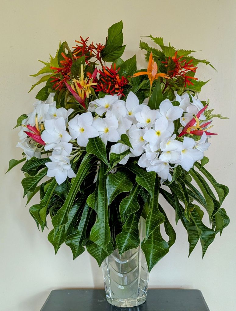 wp-1750623524161381417660767554333