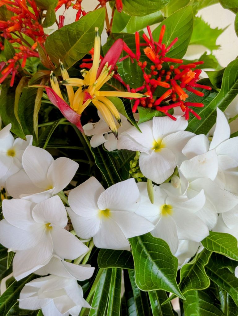 wp-17506264814445100043772286216529