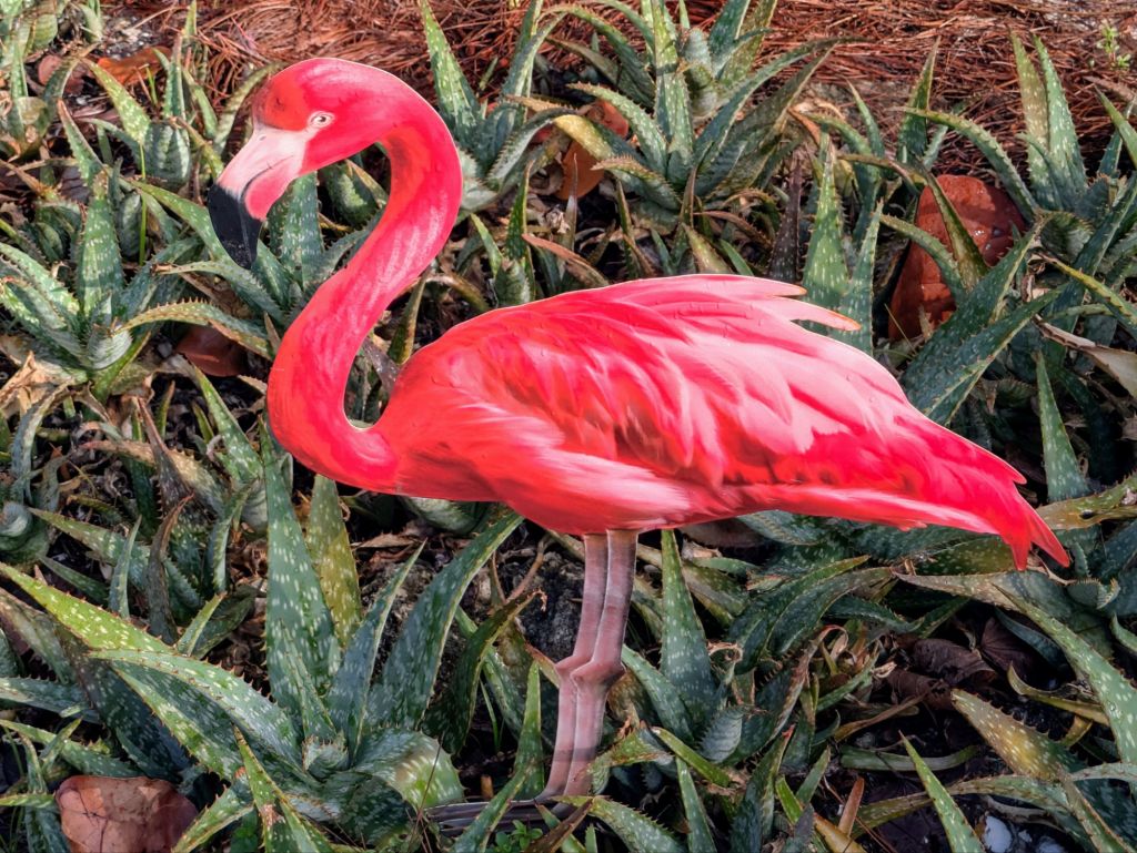 wp-1751118394085397368414743224937