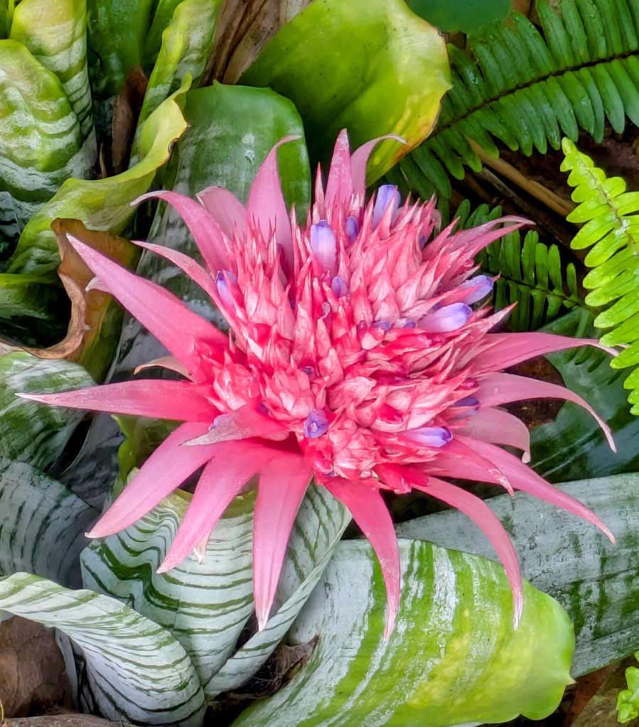 wp-17511185436554003291673022669493