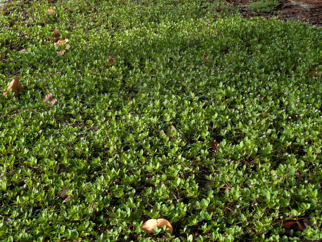 wp-17511186746288823469154406754382