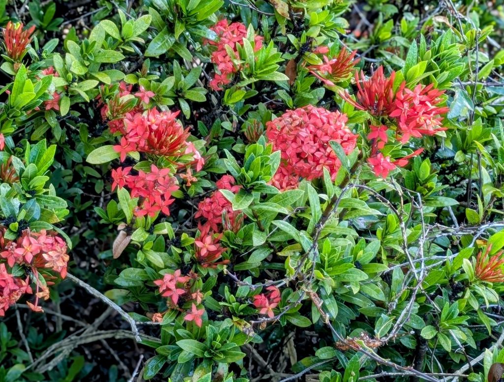 wp-17511189239333529154199021301499