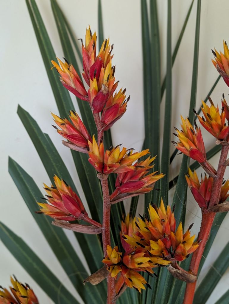 wp-17512275859795788150894066426688