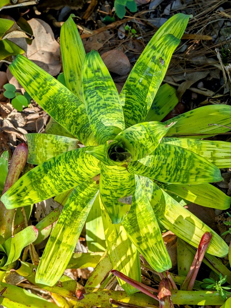 wp-17517304148766365959833773595542