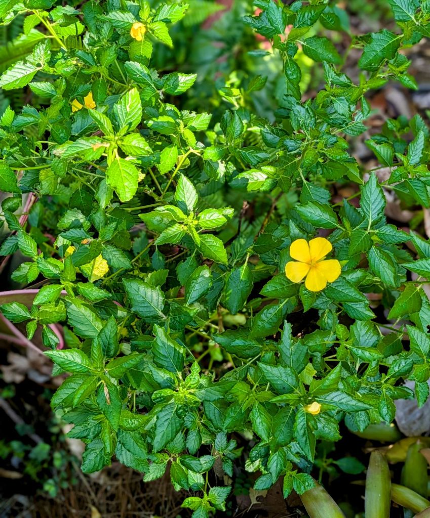 wp-17517308468974126009297813183793