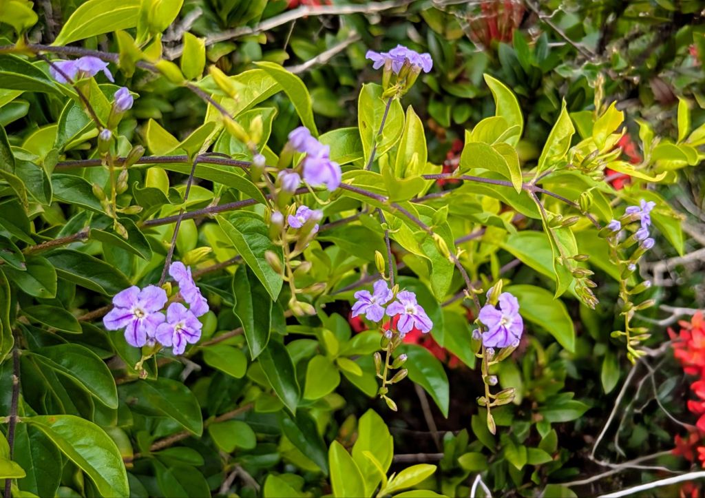 wp-17517344283508642472794646558439