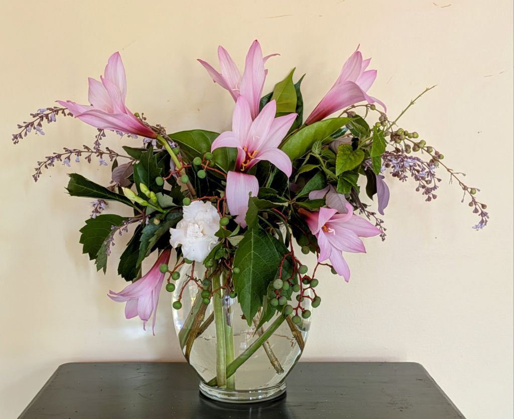 wp-17518337510223851018235274158068