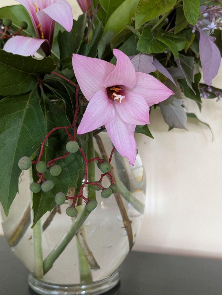 wp-17518360617801437999578000286058