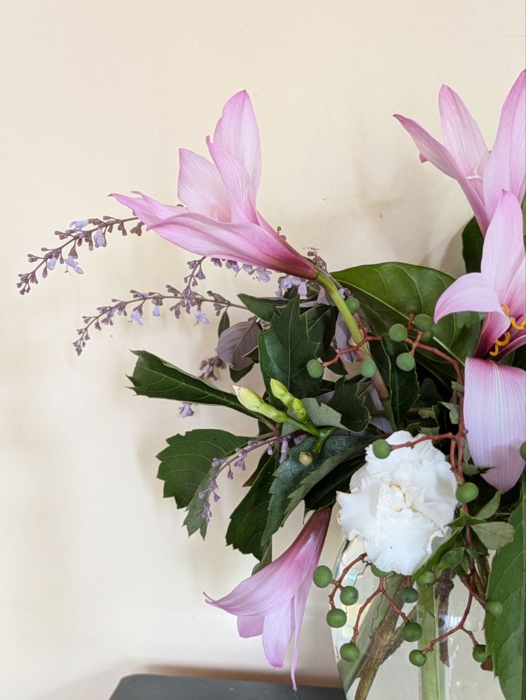 wp-17518380477501728377868400655446