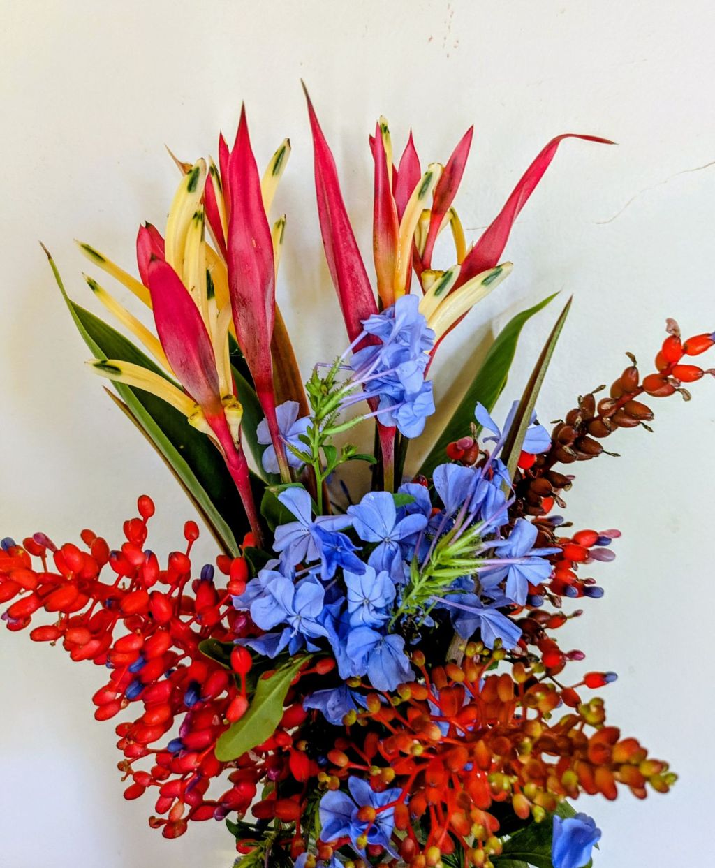 wp-17524350350854194297646368258120