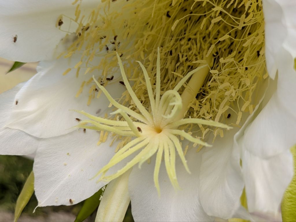 wp-1752931724442535859892294947396