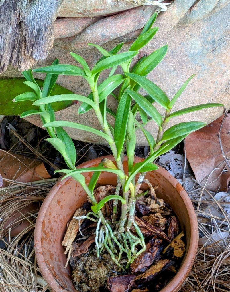 wp-17529321364538227745122649273337