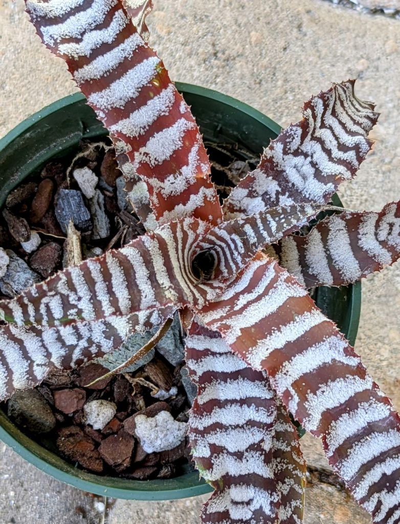 wp-1752933876801874098418026020153