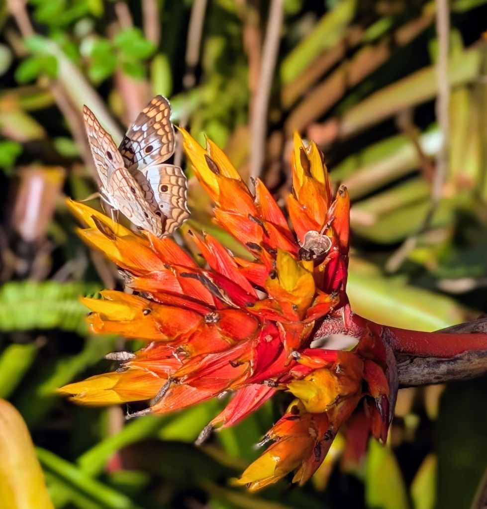 wp-1753538833363223456956909020890