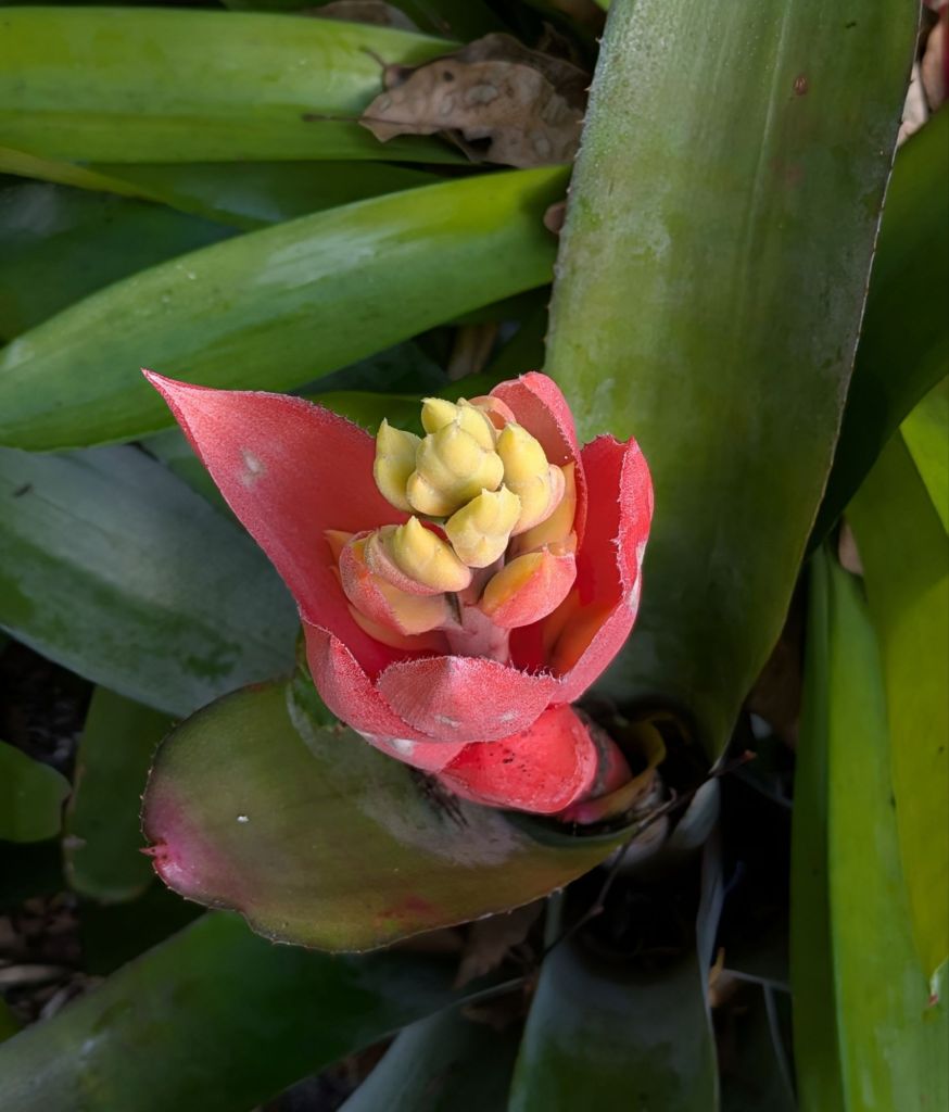 wp-17535391942883571526516485498791