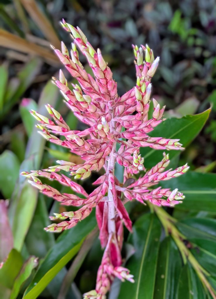 wp-17535393871223010843280119710937