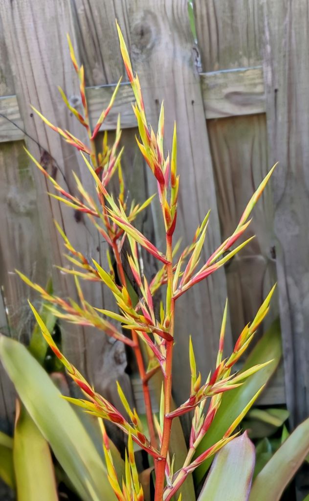 wp-17535395042042465180406415221559