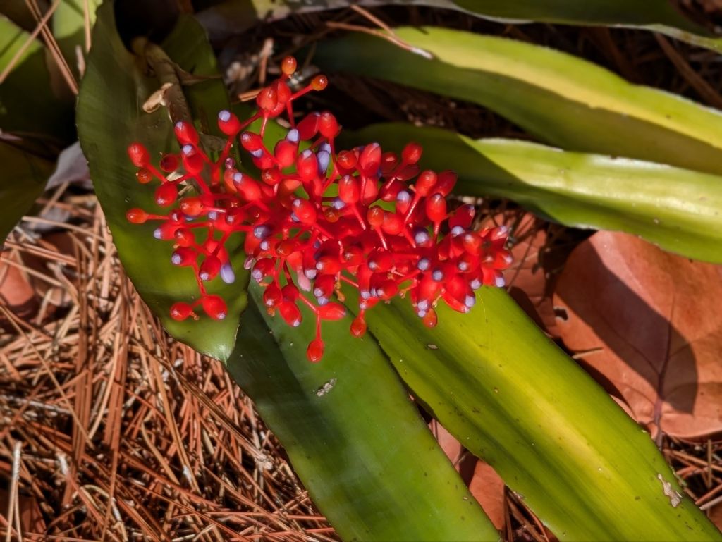 wp-17535399472897584396559835298763