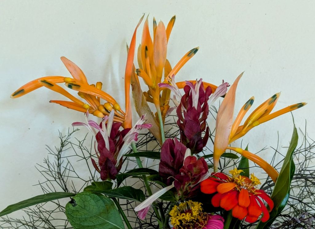 wp-17536437549887614784228876706670